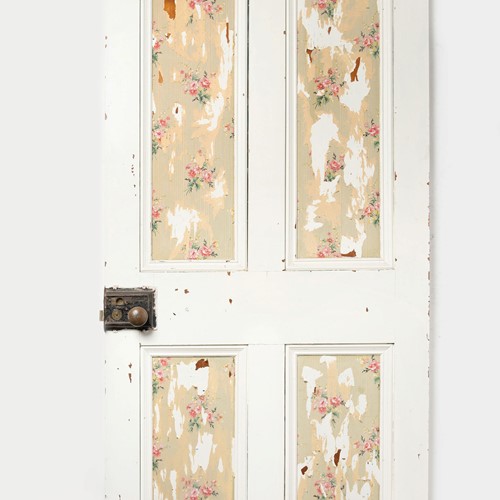 Old door with pretty wallpaper
