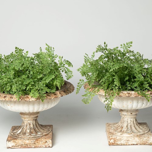 19Th Century Pair Of Urns