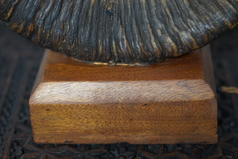 A Ram's Horn Table Lamp Set On An Oak Base-no43collectables-dsc04293-main-638224339733548728.JPG