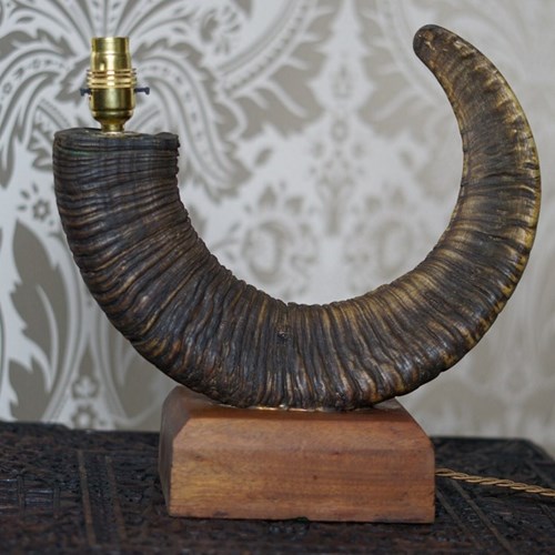 A Ram's Horn Table Lamp Set On An Oak Base