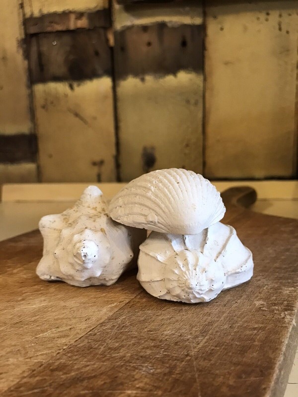 A Small Collection Of Plaster Cast Seashells -nothing-new-a-mid-20th-century-curio-collection-of-plaster-cast-models-of-seashells---nothingnewstafford-1-main-638021450598976328.jpg