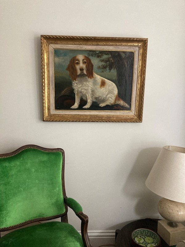 19th century oil on canvas painting of a dog-paroy-6cc06160-67ef-4598-852e-d75cbacf1fdc-main-637559166757356469.jpeg