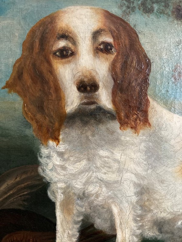 19th century oil on canvas painting of a dog-paroy-96542ff5-32a7-46fa-b5e3-7a2e3bc4d727-main-637559166950002037.jpeg