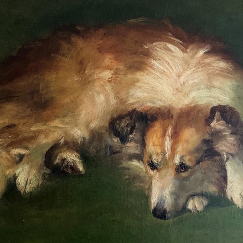 Wonderful Victorian Painting Of A Collie Dog. Signed KR 1898
