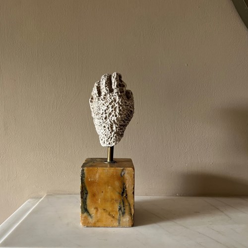 19Th Century Plaster Cast Model Of A Roman Hand