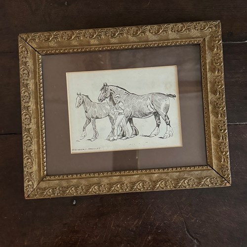 Pen And Ink Drawing Of A Horse By Cuthbert Bradley 1861-1941