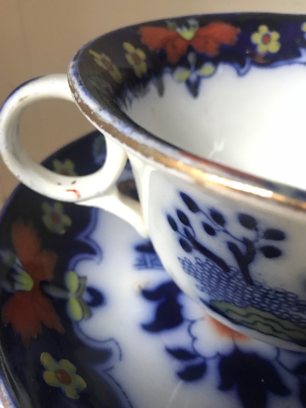 19th century  Royal Staffordshire cup & saucer-paroy-img-6703-main-637425893944163924.jpg