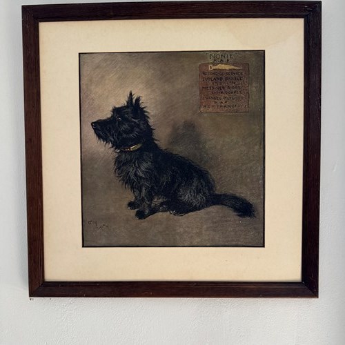 Cecil Aldin Canine Print Of Nonie R.A.F Scottie Dog