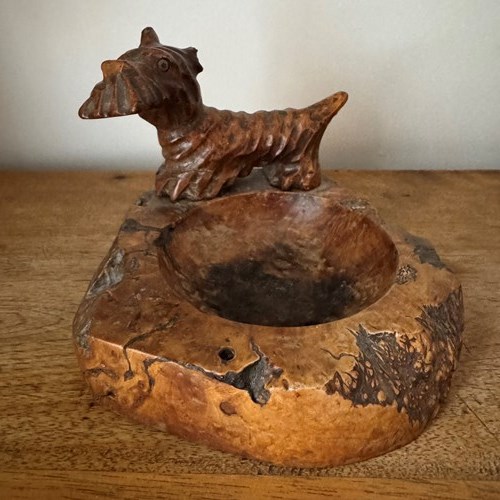 Edwardian Burr Wood Terrier Vide Poche