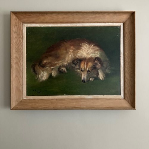 Wonderful Victorian Painting Of A Collie Dog. Signed KR 1898