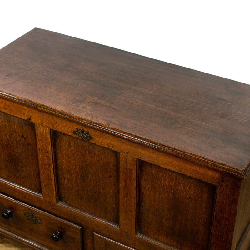 18th Century Antique Oak Three Panel Mule Chest-penderyn-antiques-20220803-adf-0991-main-637955588780693645.jpg