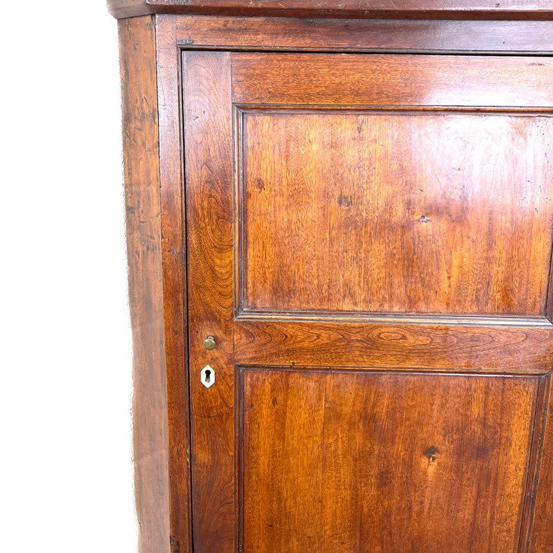 Antique Georgian Fruitwood Corner Cupboard-penderyn-antiques-m-32503-main-637958136658527186.JPG