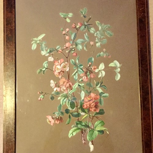 French Watercolour Beautifully Framed.