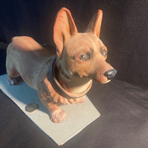 1930S Corgi Dog