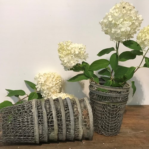 10 Garden Lilly Baskets
