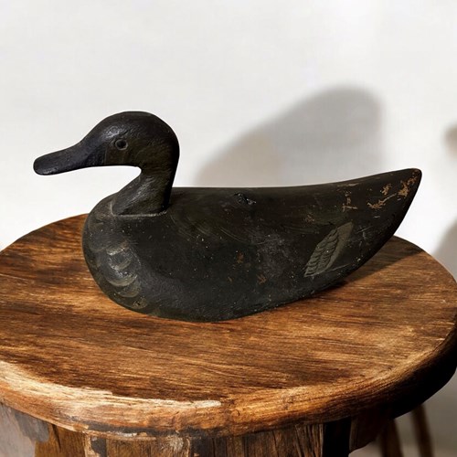 Decoy Duck