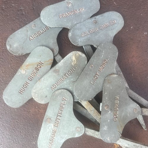 Heritage Rose Markers