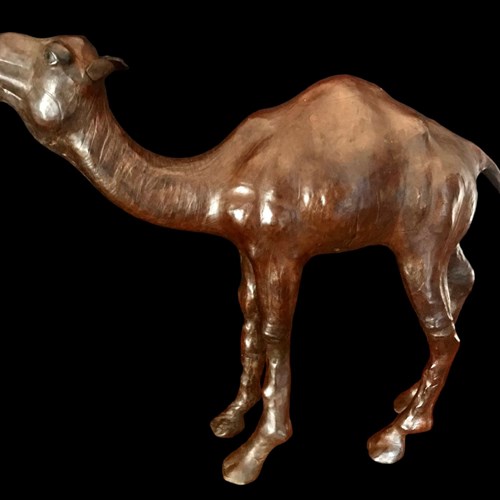 Leather Wrapped Camel