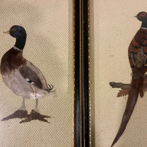 19Th Century Feather Art