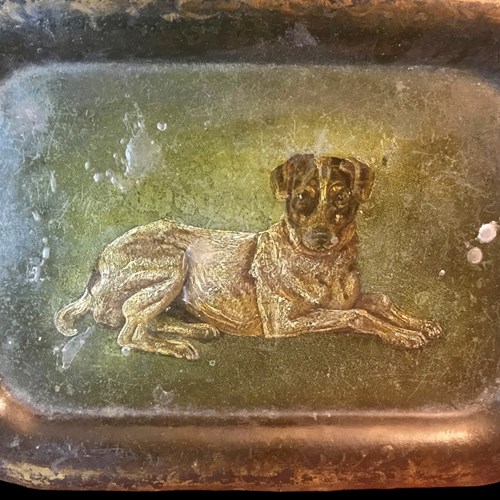 Beautiful Tray, Man’S Best Friend 