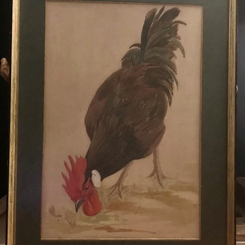 Watercolour Cockerel 