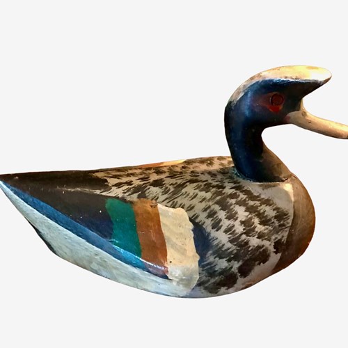 Unusual Decoy Duck
