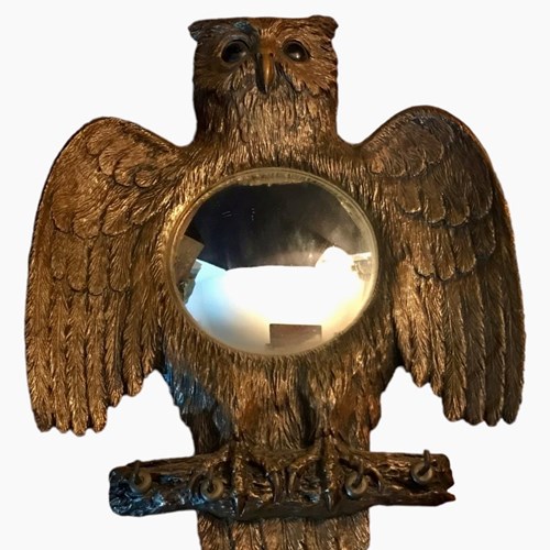 Convex Owl Mirror