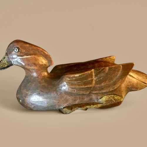 Beautiful Duck