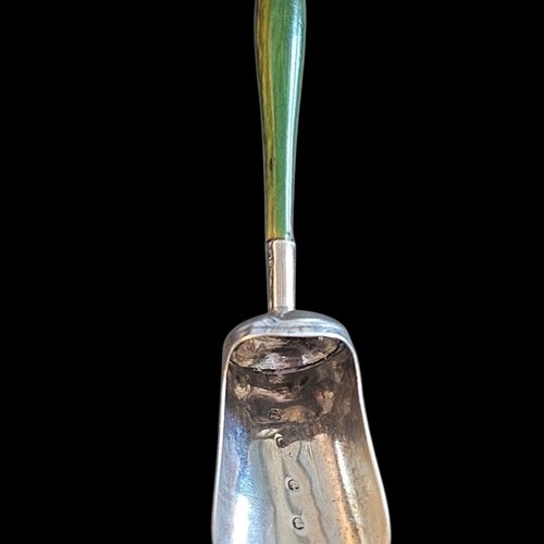 Antique Silver George III Tea Caddy Spoon 1801 With Green Boxwood Handle