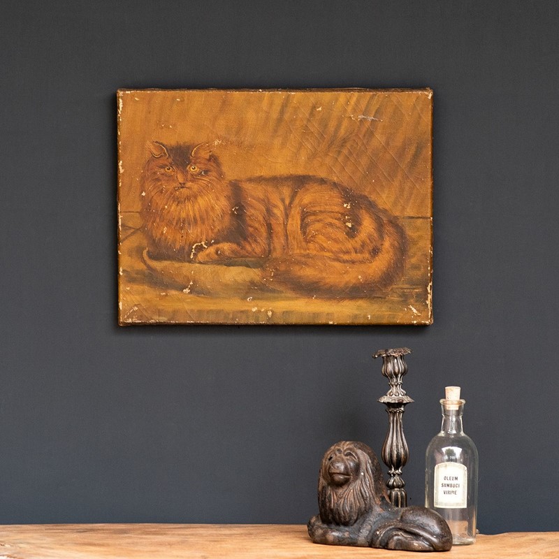Naive Folk Art Study Of A Cat, Oil On Canvas-rag-and-bone-2-dsc-8747-main-638012938589743962.jpeg