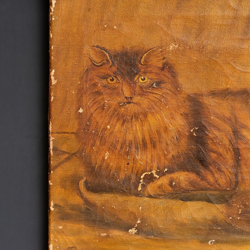 Naive Folk Art Study Of A Cat, Oil On Canvas-rag-and-bone-3-dsc-8742-main-638012938598650417.jpeg