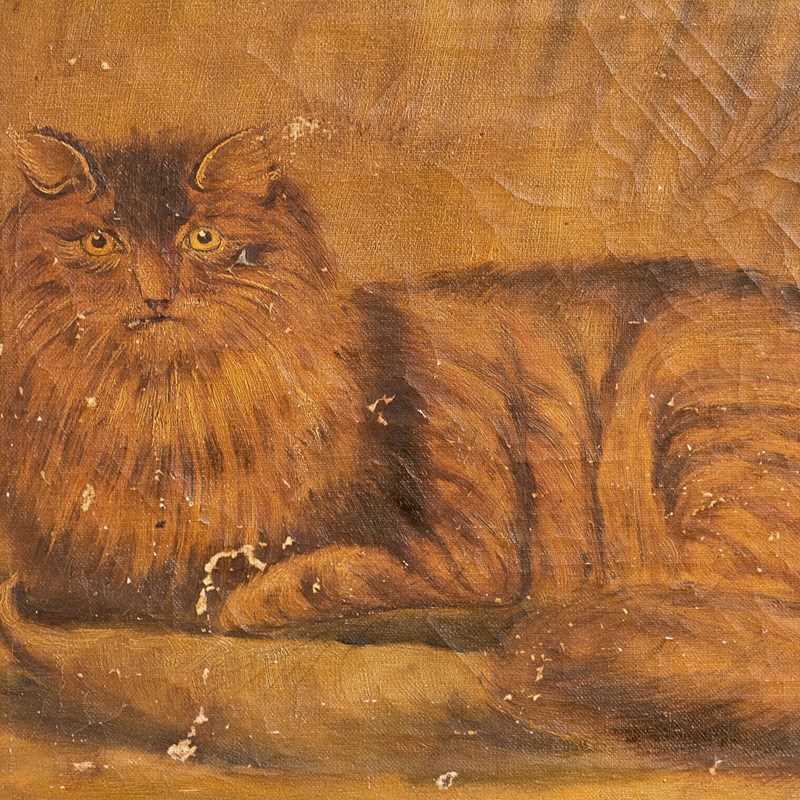 Naive Folk Art Study Of A Cat, Oil On Canvas-rag-and-bone-dsc-8745-main-638302022316998956.jpg