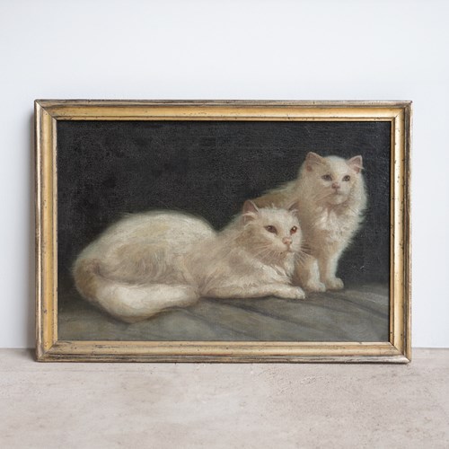 White Cat Portrait Original Antique Oil Painting, Attributed To Arthur Heyer