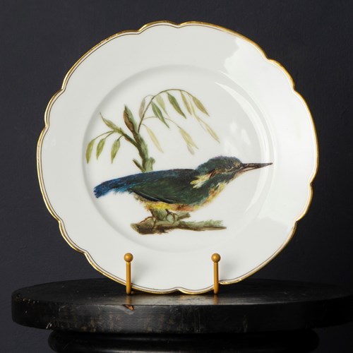 Antique French Hand-Painted Kingfisher Porcelain Plate, C.1870