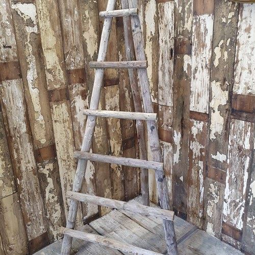 A-Frame Apple Pickers Ladder