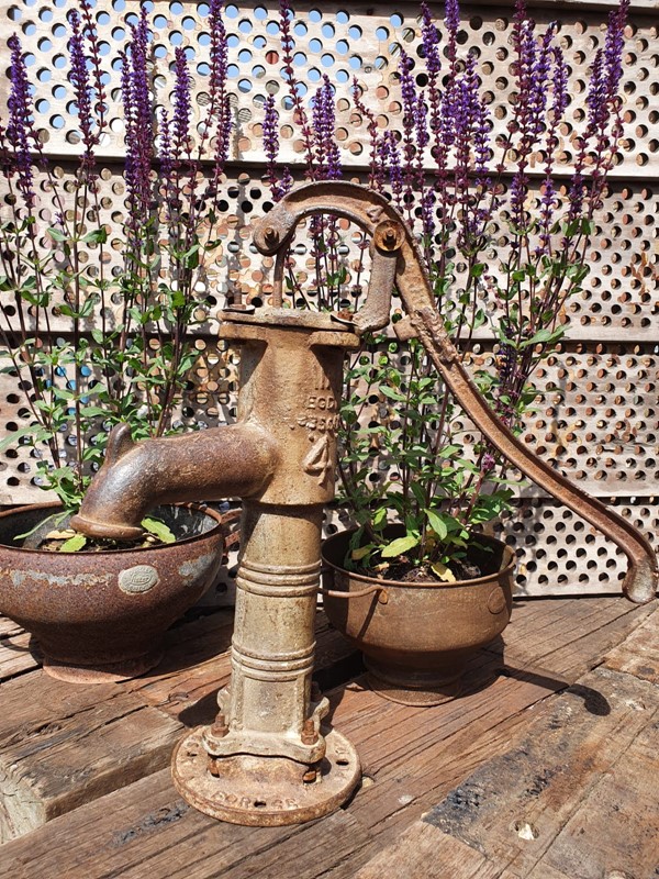 Decorative Water Pump-reginald-ballum--decorative-water-pump-13-main-637928062178459092.JPG