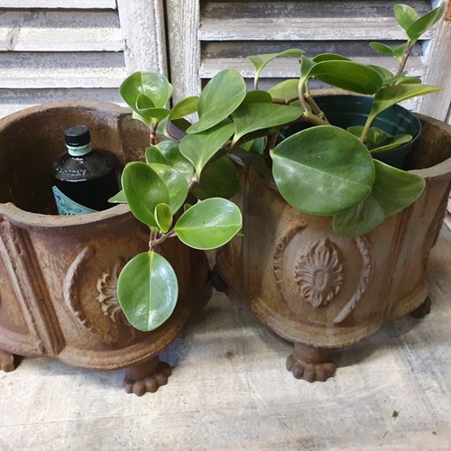 Pair Of Clover Leaf Victorian Urns