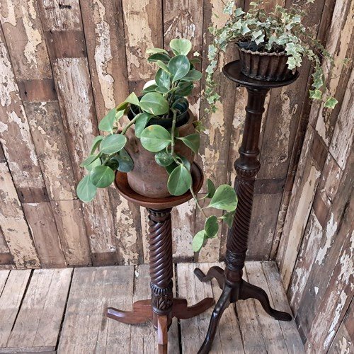 Small Victorian Mahogany Pedestal