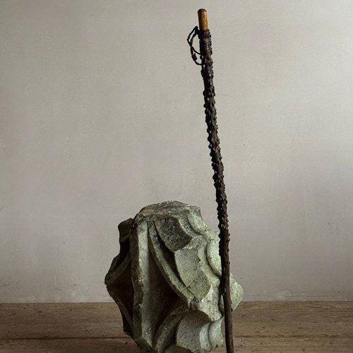 19Thc Winged Elm Walking Stick