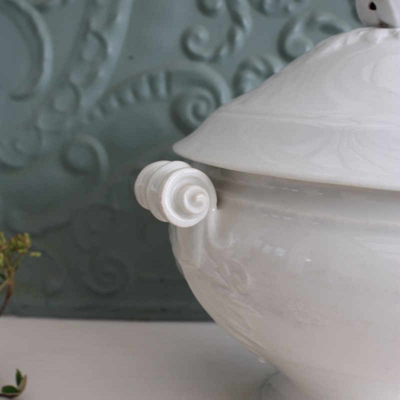 Large French Vintage Porcelain Tureen-restored-2-b-loved-img-0350-main-638174169245171365.JPG
