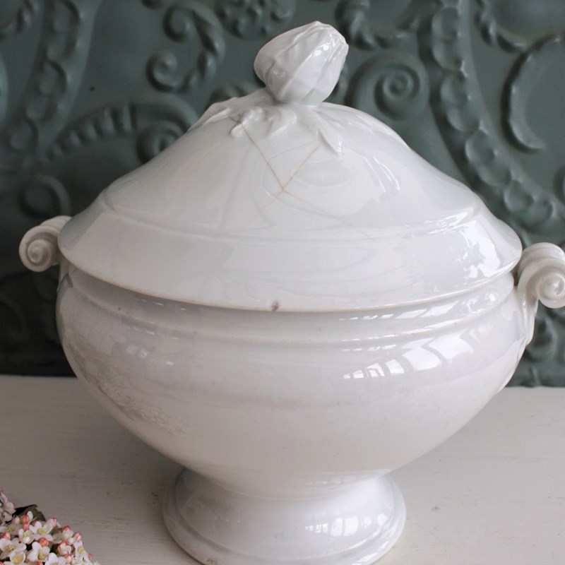 Large French Vintage Porcelain Tureen-restored-2-b-loved-img-0358-main-638174169401644067.JPG