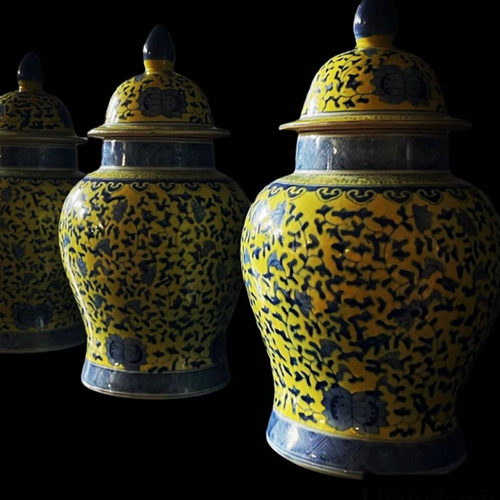 An attractive pair of Chinese Ginger jars