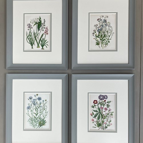 Set Of 4 Antique Botanical Framed Prints