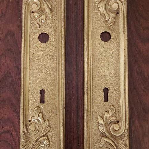Pair of french brass fingerplates door