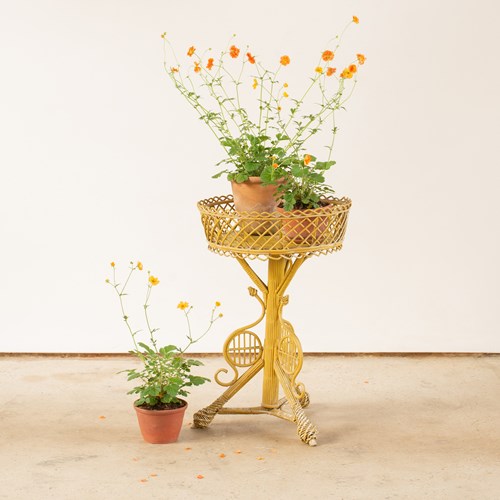 19Th Century Painted Cane Decorative Plant Stand