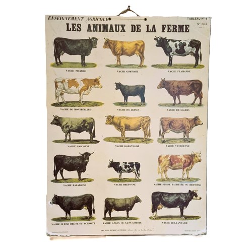 'Les Animaux De La Ferme' Deyrolle Poster 