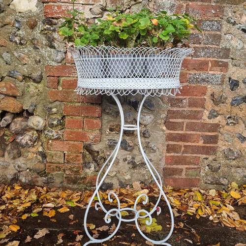 French 19Th Century Wirework Garden Jardiniere