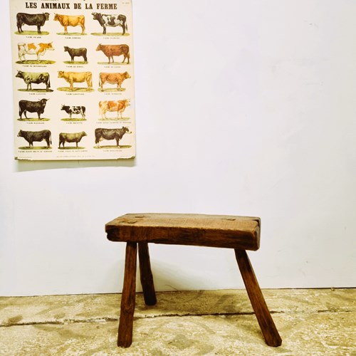 19Th Century Primitive Elm And Ash Milking Stool