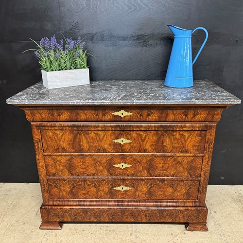 Fine Burr Walnut Louis Philippe Commode