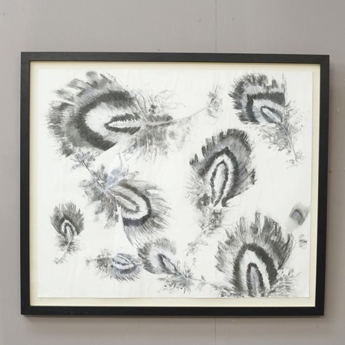 21St Century Charcoal And Chalk Artwork - Feathers 1